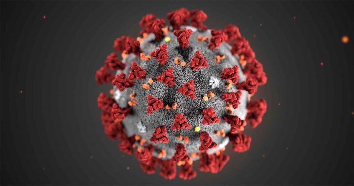 coronavirus